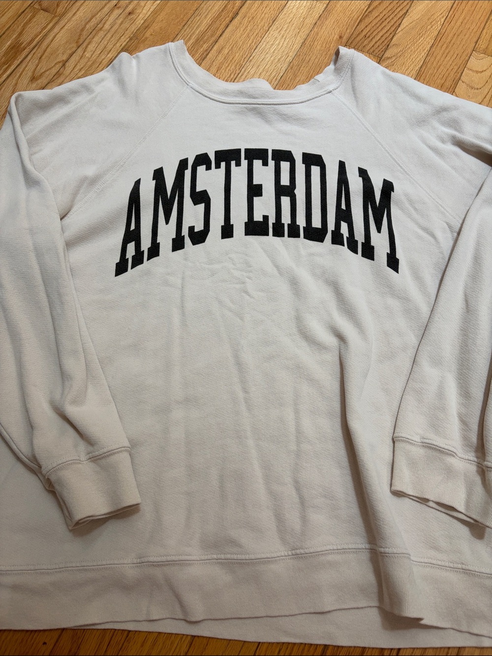 Free People Amsterdam Graphic Crewneck Sweater - Retrobrand